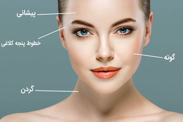 کاربرد هاي استفاده از بوتاکس ديسپورت اصل بر روي صرت يک خانم جوان آورده شده است.