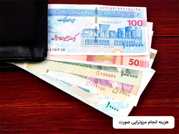 در تصوير تعدادي چک پ.ل قرار دارد که از کيف پول خارج شده است.