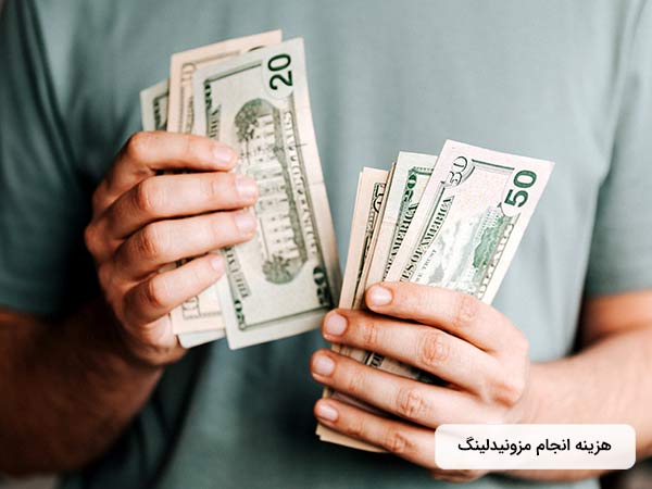 در تصوير آقايي وجود دارد که در دست خود مقداري اسکناس دراد. لباس آقا سبز مي باشد.