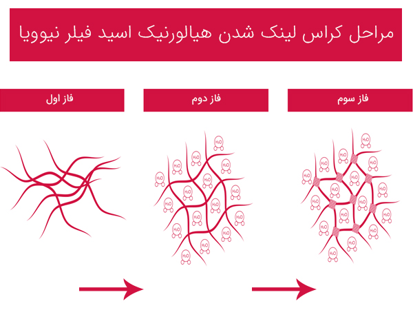 نمایش مراحل کراسیلینک شدن فیلر نیویا با زمینه سفید مشاهده می شود.