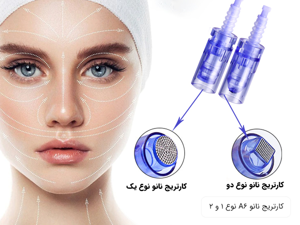 تصویری ازکارتریج های نانو نوع اول و دوم A6