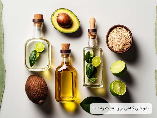دارو های گياهی مختلف ريزش موی جلوی سر از جمله روغن نارگيل و آواکادو در پس زمينه خاکستری رنگ.