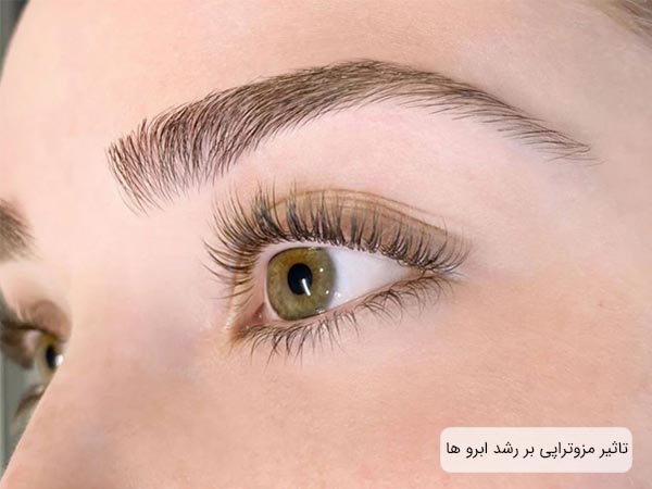 ابرو های بلند و پرپشت يک خانم.