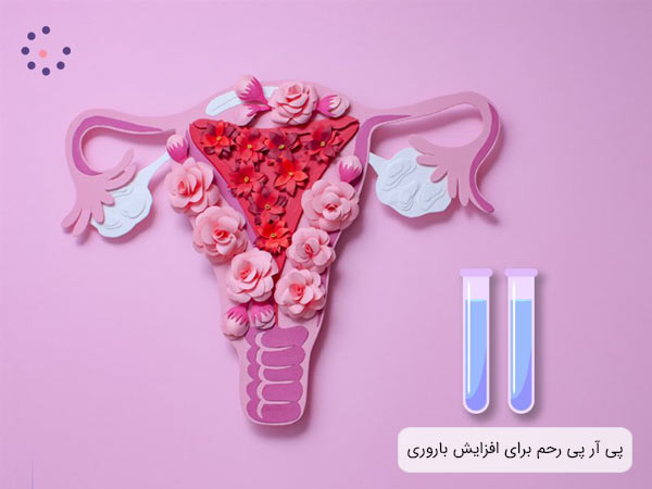 يک طرح فانتزی از رحم به همراه دو محلول پی آر پی در پس زمينه ارغوانی رنگ.