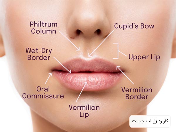 کاربرد های مختلف ژل لب که به صورت نوشته در کنار لب هاي يک خانم نمايش داده شده است با پس زمينه سفيد.