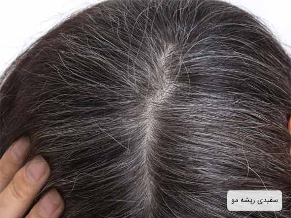 سفيدی مو های يک خانم از ريشه با پس زمينه سفيد.